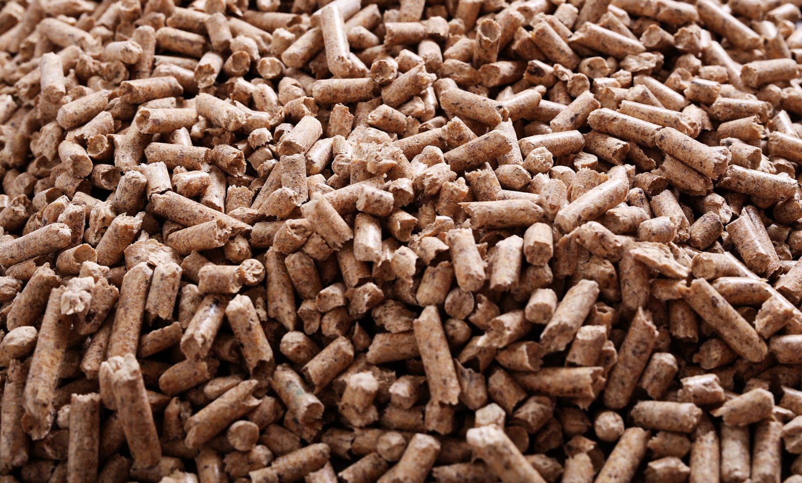 pellets-surface-1-scaled-1.jpg